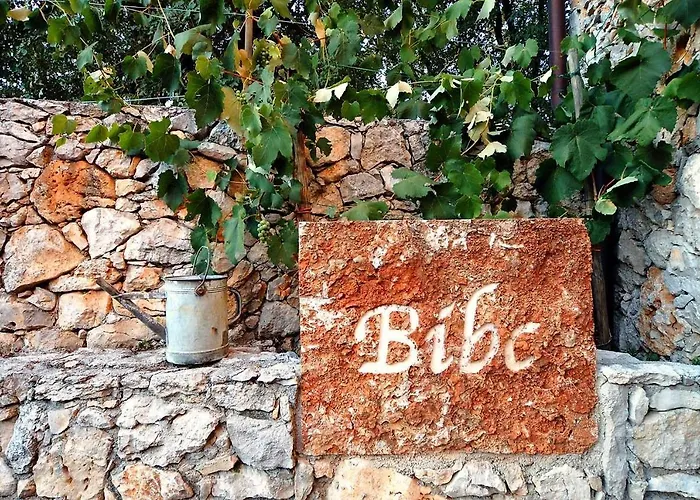 Bibc Wine & HolidayAgriturismo